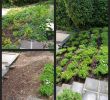 Terrasse Beet Gestalten Best Of 36 Luxus Garten Am Hang Ideen Bilder Inspirierend