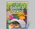 Terrasse Garten Gestalten Elegant Balkon & Terrasse Gestalten Pflegen Genießen