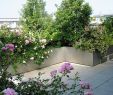 Terrasse Garten Gestalten Inspirierend Dachgarten Salathé Rentzel Gartenkultur Ag