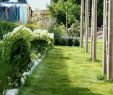 Terrassen Deko Selber Machen Best Of 32 Inspirierend Garten Skulpturen Selber Machen Schön