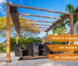 Terrassenbepflanzung Bilder Luxus Paragon Outdoor Aluminium Pavillon Gazebo Florida Hellbraun