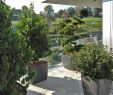 Terrassenbepflanzung Sichtschutz Inspirierend Wuhrmanngarten