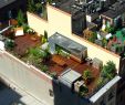 Terrassendeko Neu Aerial View Rooftop Deck Nyc 19001391