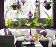 Terrassengarten Gestalten Genial Balkon Gestalten Und Bepflanzen Tipps Beispiele Und Bilder