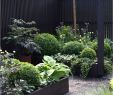Terrassengestaltung Ideen Pflanzen Elegant 26 Genial Garten Modern Gestalten Einzigartig