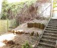 Terrassengestaltung Mit Pflanzen Best Of Outdoor Zen Garden Inspirational Outdoor Zen Garden Lit at