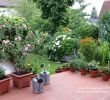 Terrassengestaltung Mit Pflanzen Inspirierend Kübelpflanzen Terrasse