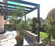 Terrassengestaltung Mit Pflanzen Inspirierend Wohnzimmer Pflanze Reizend Schlafzimmer Boxspringbett