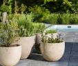 Terrassengestaltung Mit Pflanzen Luxus Grüne Terrassengestaltung Parc S Gartengestaltung