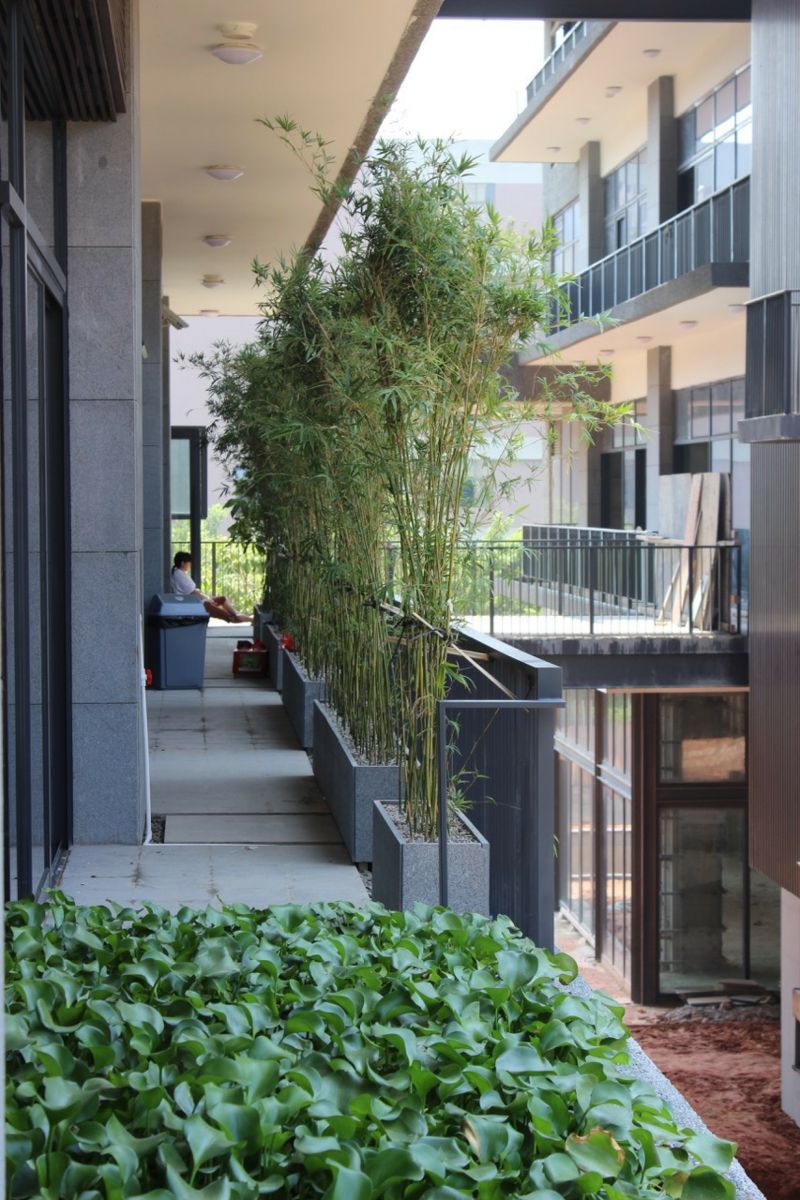 Terrassengestaltung Pflanzen Schön Bambus Als Balkon Sichtschutz – Ideen Mit Pflanzen Matten