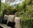 Terrassenpflanzen Ideen Inspirierend Balkon Mission Abgeschlossen Hier ist Der Frühling