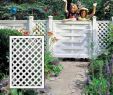 Tipps Gartengestaltung Best Of Rankgitter Sichtschutz