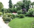 Tipps Gartengestaltung Inspirierend 25 Einzigartig Alten Garten Neu Anlegen Das Beste Von