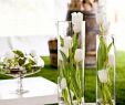 Tischdeko Gartenparty Elegant Edle Tischdekoration Für Hochzeit Mit Weißen Tuplen Und