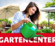 Vogelhäuser Hagebaumarkt Elegant Gartenartikel Im Gartencenter Von Hagebau Online Kaufen