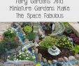 Vorgartengestaltung Bilder Neu Fairy Gardens and Miniature Gardens Make the Space Fabulous