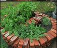 Wagenrad Dekorieren Frisch How to Plant Spiral Herbal Gardens Correctly – List with