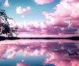 Wanddeko Outdoor Frisch Download Reflecting Pink Sky Wallpaper by Goodfellagrl 0d