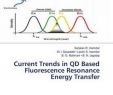 Wanddeko Rost Best Of Current Trends In Qd Based Fluorescence Resonance Energy