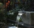 Wasser Im Garten Frisch â· 1001 Ideen Und Gartenteich Bilder Für Ihren Traumgarten