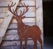 Weihnachtsdeko Aus Rostigem Metall Best Of Pin Von Tina Horn Auf Deer Point Lodge