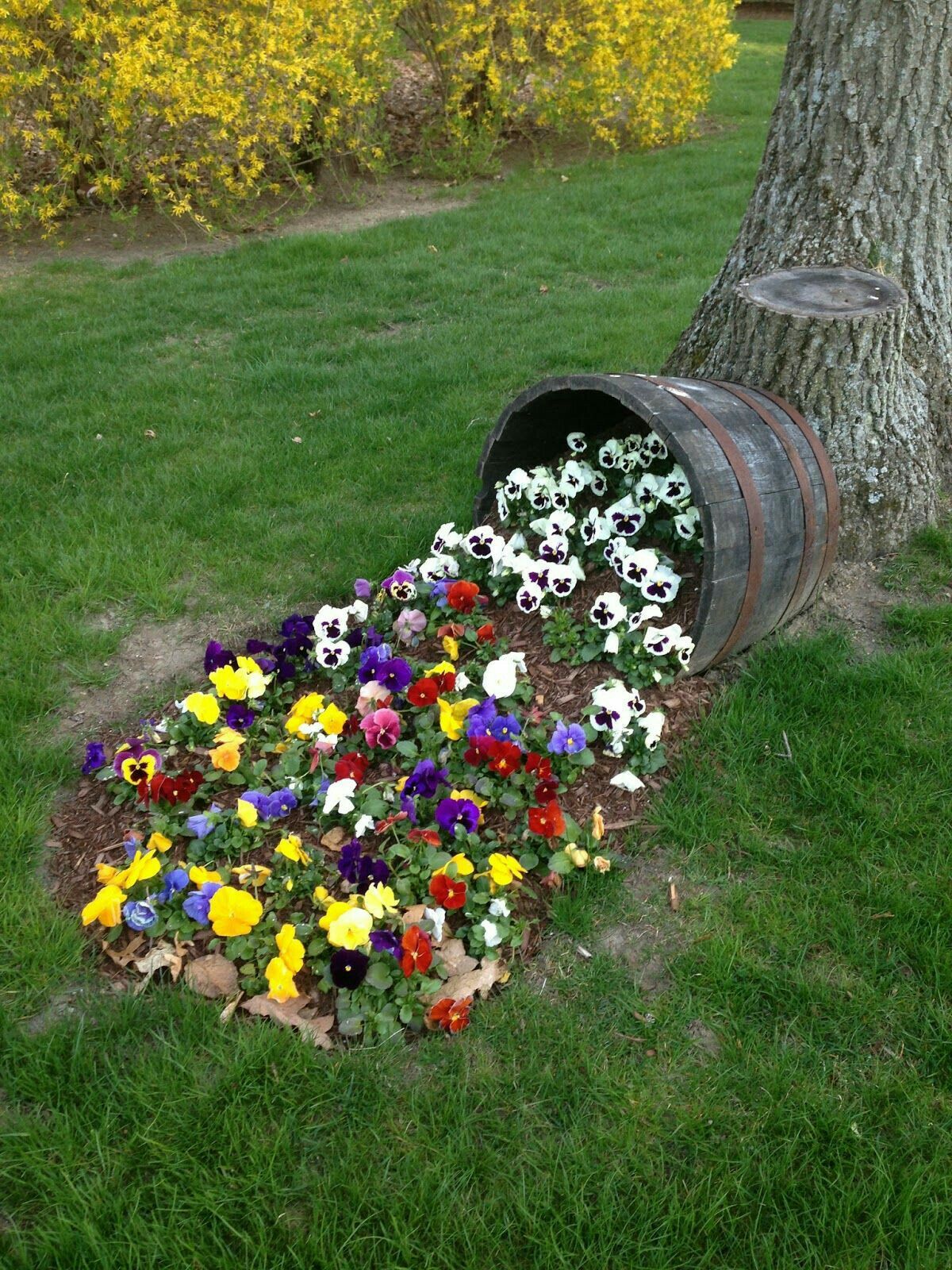 Weinfass Deko Garten Frisch I Would Like to Do This In the Corners Of the Front Yard by