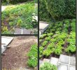 Wie Gestalte Ich Meinen Garten Schön Indoor Garden Ideas Unique Useful organic Gardening Tips