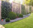 Wie Gestalte Ich Meinen Vorgarten Genial 29 Das Beste Von Garten Einrichten Luxus