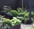 Wie Gestalte Ich Meinen Vorgarten Genial 39 Reizend Naturnaher Garten Pflegeleicht Anlegen Elegant