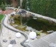 Wie Lege Ich Einen Garten An Luxus Bildergebnis Für Teich An Der Terrasse Garten