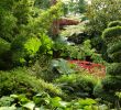 Wie Lege Ich Einen Garten An Schön 30 Inspirierend Schweizer Garten Inspirierend