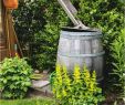 Windlichter Für Den Garten Luxus 29 Inspirierend Wassertank Garten Oberirdisch Schön