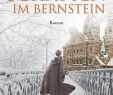 Winter Gartendeko Neu Schatten Im Bernstein Buch Versandkostenfrei Bei Weltbild