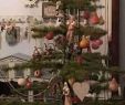 Winterdeko Garten Selber Machen Best Of 36 Inspirierend Weihnachtsdeko Garten Das Beste Von