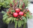 Winterdeko Garten Selber Machen Frisch Billedresultat for Outdoor Weihnachtsdekorationen