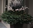 Winterdeko Garten Selber Machen Luxus 36 Inspirierend Weihnachtsdeko Garten Das Beste Von