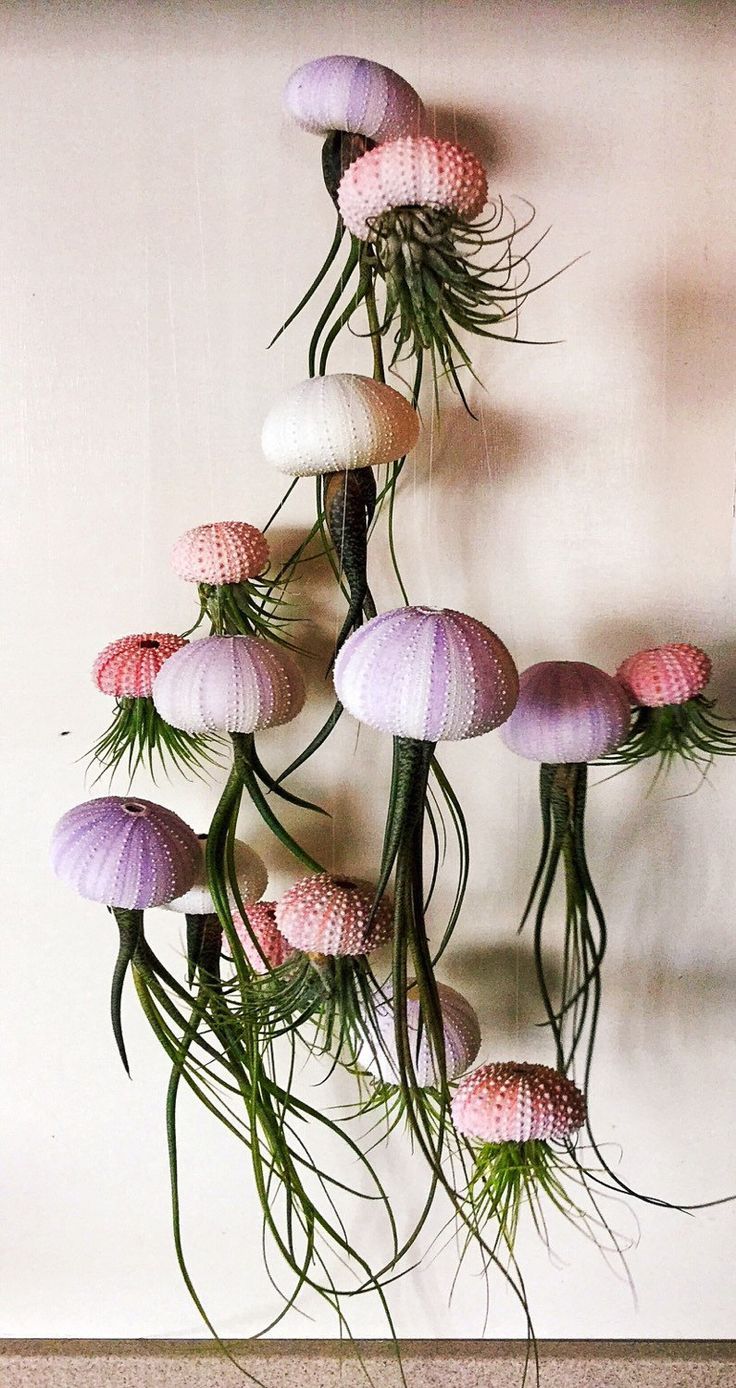 Wurzel Deko Garten Genial Six assorted Hanging Jellyfish Air Plants Wedding Gift