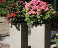 Zink Deko Garten Inspirierend 4er Set Pflanzkübel Blumenkübel Beton "block" Säule Natur