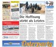 Apotheke Zoologischer Garten Best Of Neue Zeitung Ausgabe Lingen Kw 14 2012 by Gerhard Verlag