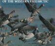 Asia Garten Leipzig Best Of Goose Populations Of the Western Palearctic by Aarhus