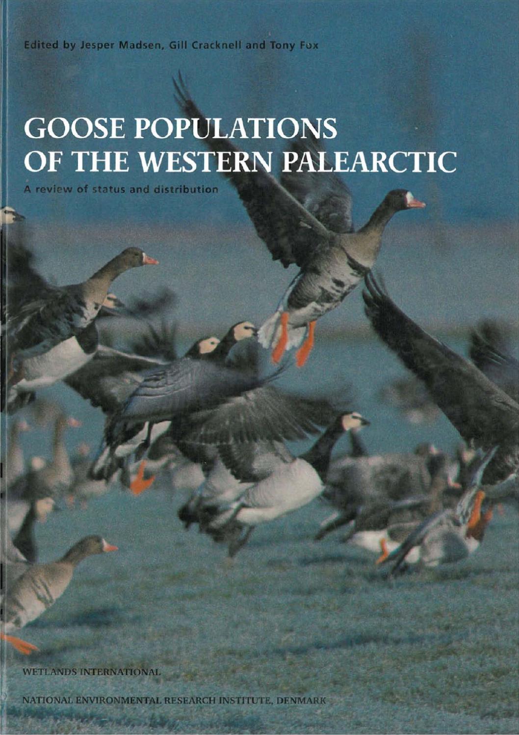 Asia Garten Leipzig Best Of Goose Populations Of the Western Palearctic by Aarhus