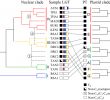 Asia Garten Ottobrunn Einzigartig Genome Biogeography Reveals the Intraspecific Spread Of
