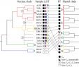 Asia Garten Ottobrunn Einzigartig Genome Biogeography Reveals the Intraspecific Spread Of