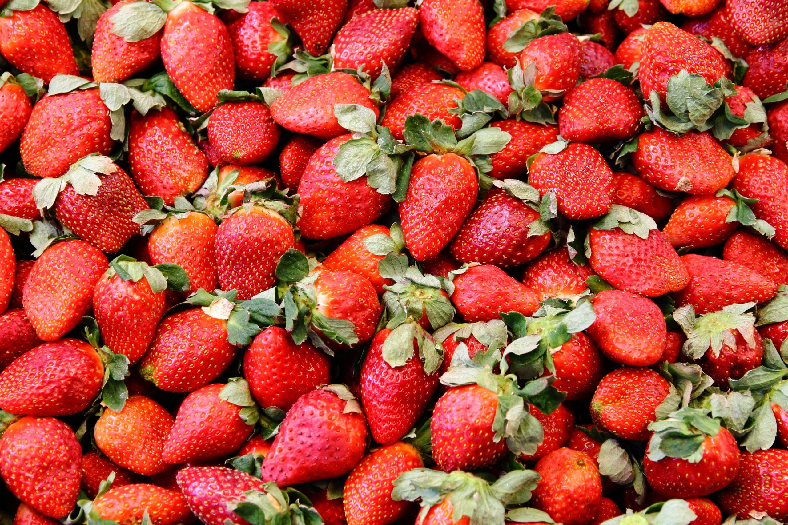 Bad Brambacher Garten Limonade Genial What to Do with Mushy Strawberries