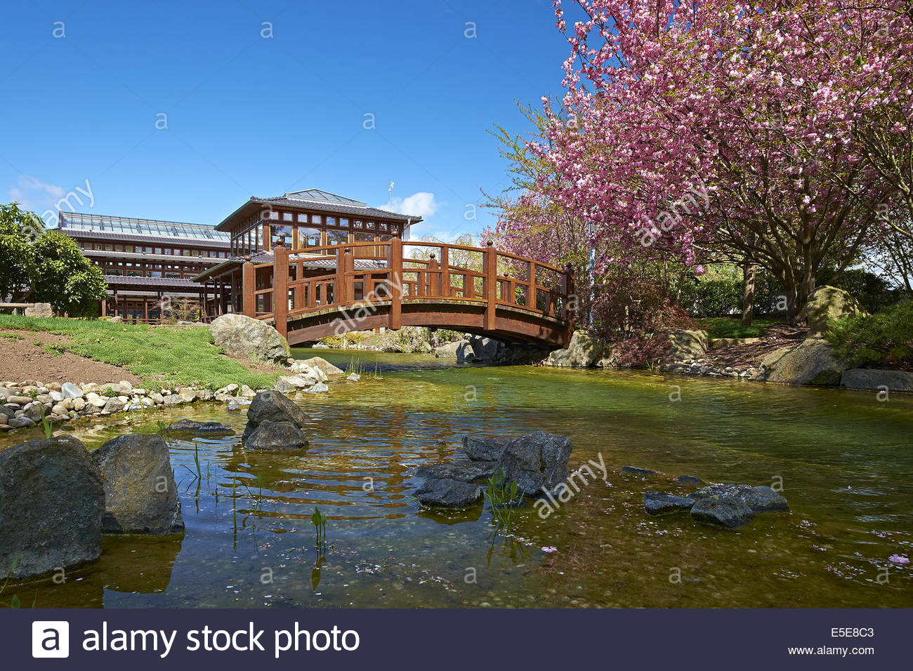 Bad Langensalza Japanischer Garten Elegant Gartenbrücken Stockfotos & Gartenbrücken Bilder Alamy