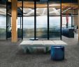 Bad Langensalza Japanischer Garten Elegant Mercial Carpet Tile & Resilient Flooring