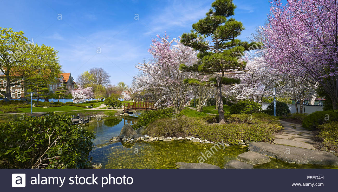 japanese garden in bad langensalza germany E5ED4H