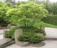 Bad Langensalza Japanischer Garten Luxus Die 34 Besten Bilder Zu Inspiration Japangarten