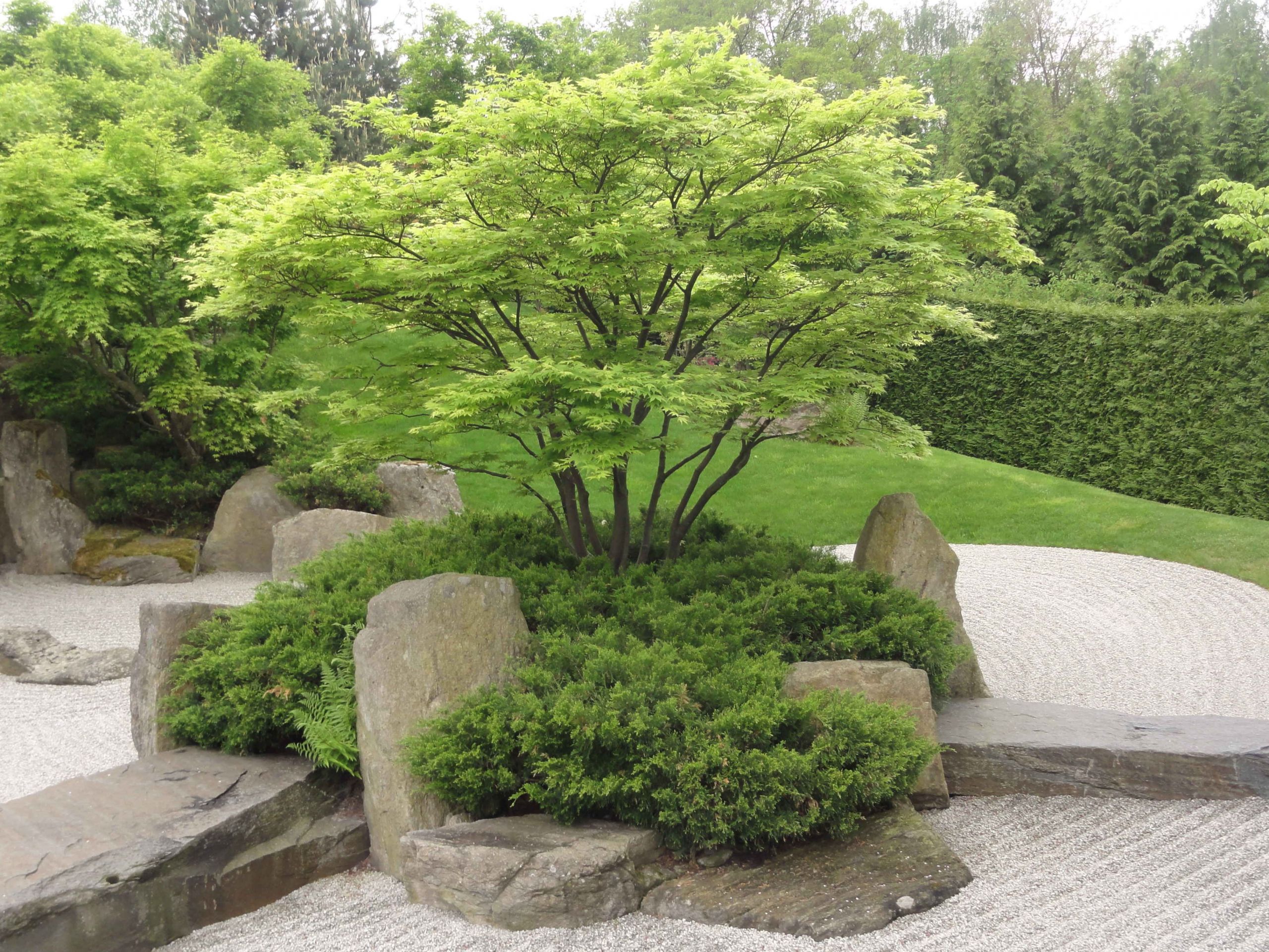 Bad Langensalza Japanischer Garten Luxus Die 34 Besten Bilder Zu Inspiration Japangarten
