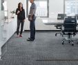 Bad Langensalza Japanischer Garten Luxus Mercial Carpet Tile & Resilient Flooring